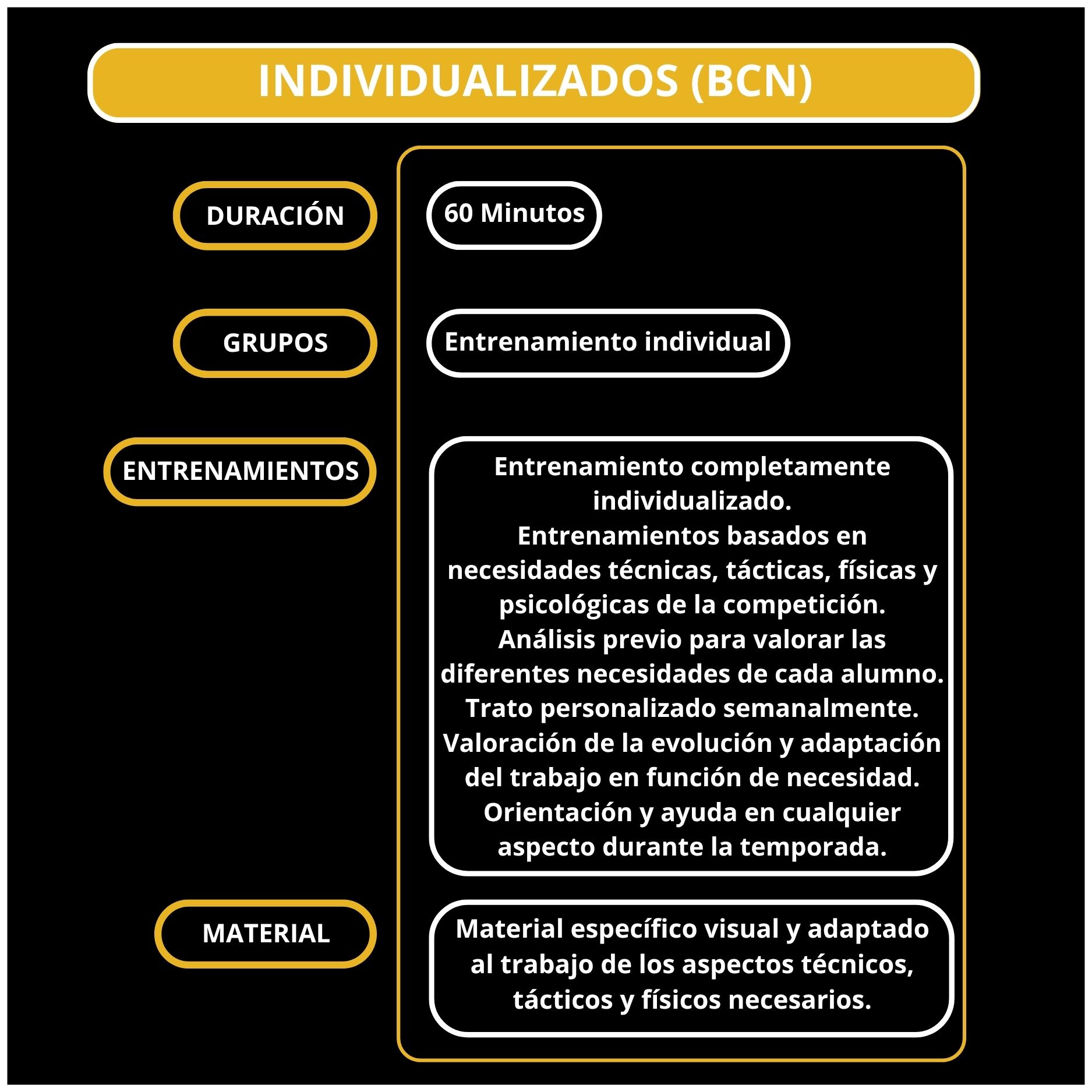Bcn_Individual(descripcion)
